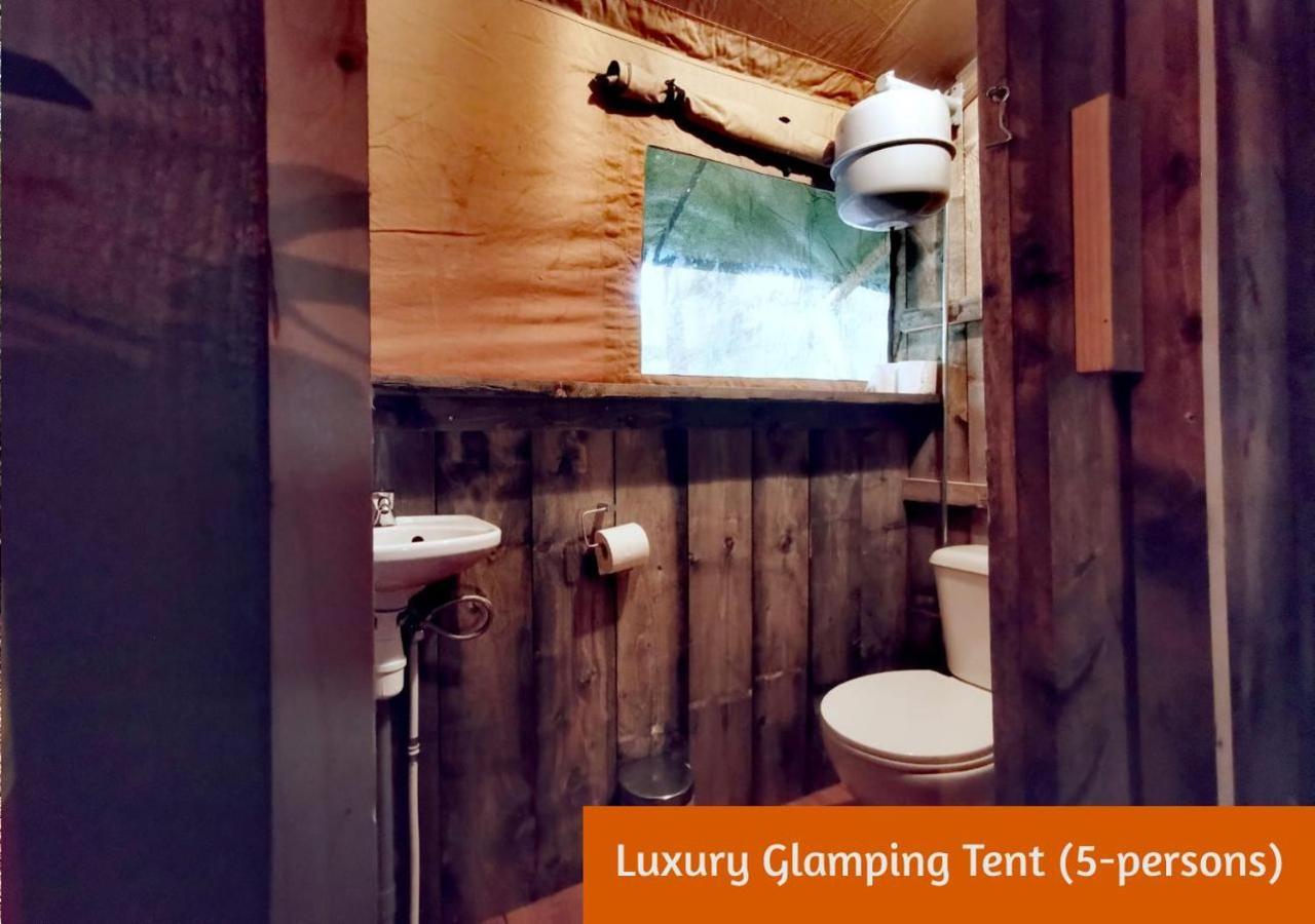 Glamping In Nature By Outdoors Holten Exterior foto